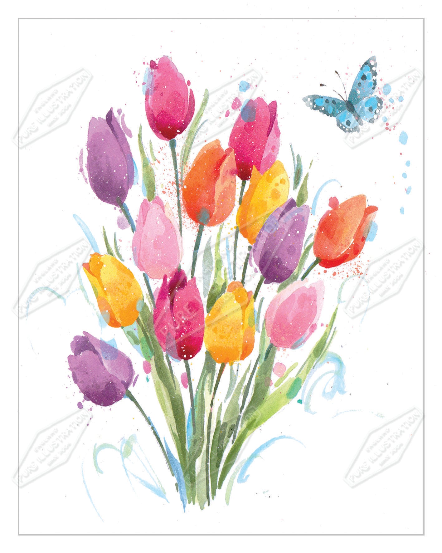 00035873AMA - Ally Marie is represented by Pure Art Licensing Agency - Everyday Greeting Card Design