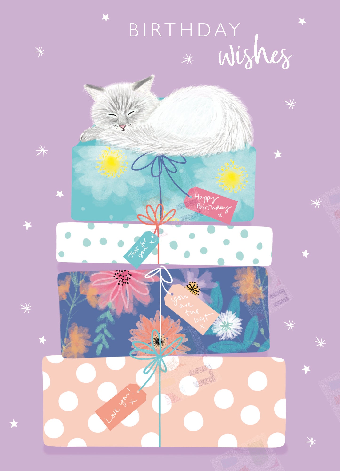 Birthday Cat & Presents Design for Greeting Cards - Caitlin Miller is represented by Pure Art Licensing Agency - Greeting Card Designs for Licensing