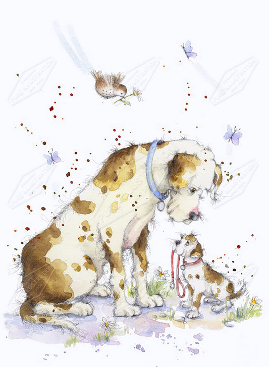 00024041JPA- Jan Pashley is represented by Pure Art Licensing Agency - Everyday Greeting Card Design