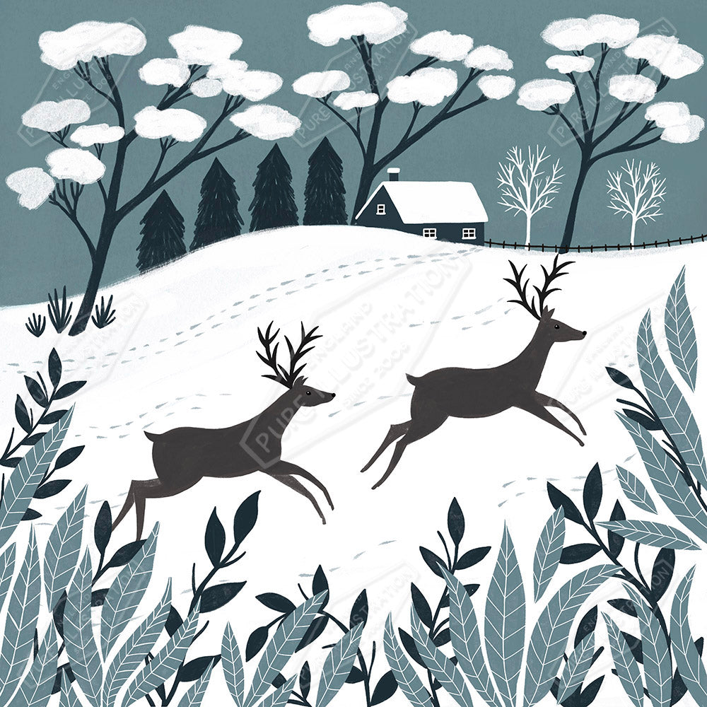 Country Christmas Deer Illustration by Sian Summerhayes for Pure Art Licensing & Surface Design Studio